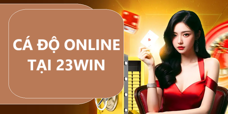 Cá độ online 23win 